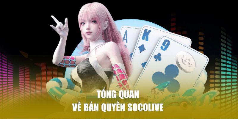 Tổng quan về bản quyền SOCOLIVE 